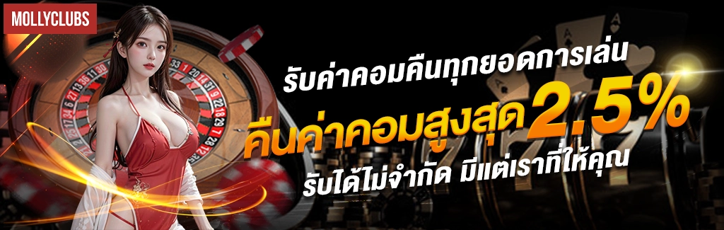 โปรโมชั่น-5